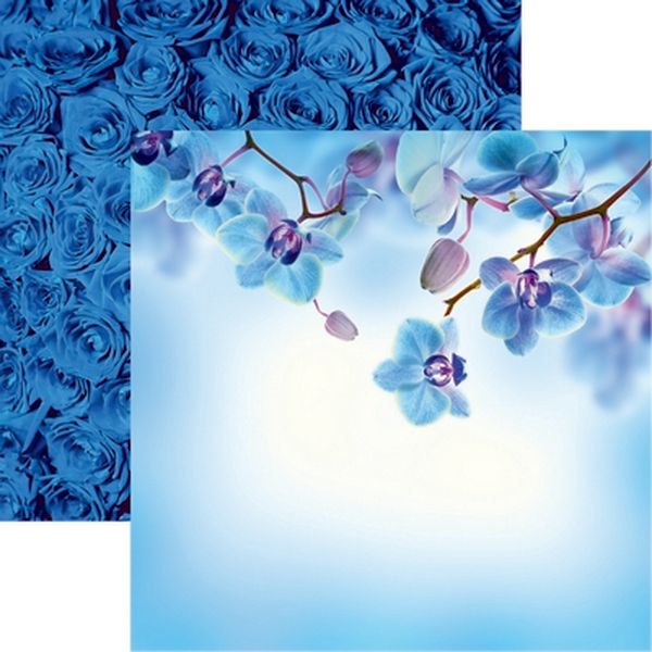 Wildflower: Beautiful Blue Flowers Paper