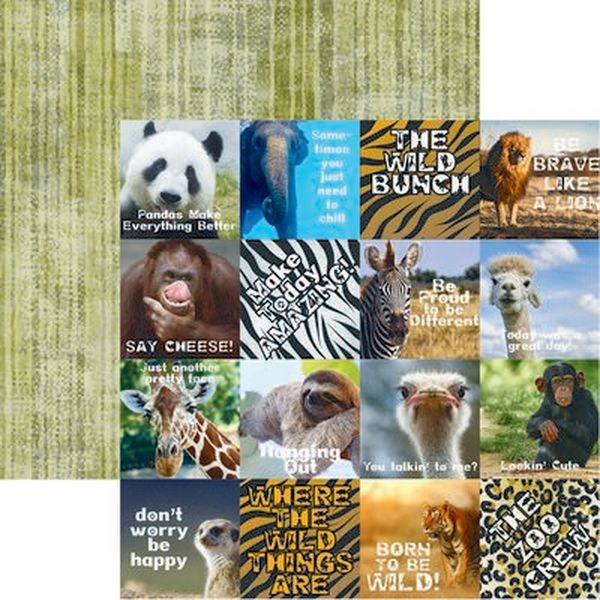 Zooventures: Zooventures Scrapbook Paper