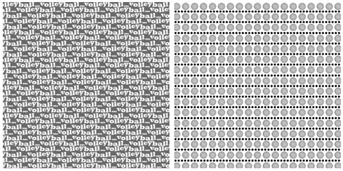 The Sport Is: Volleyball Paper